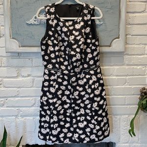 Ann Taylor Black Dress with White Flowers, 12P
